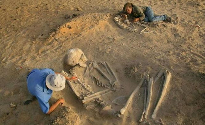 Скелеты гигантов, найденные на территории СССР
