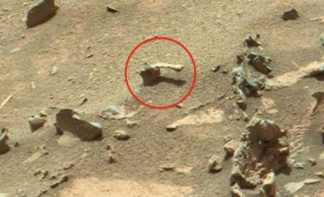 Живое существо обнаружено на Марсе
