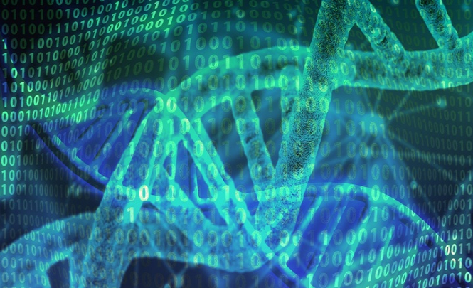 В нашей ДНК нашлись гены загадочных видов