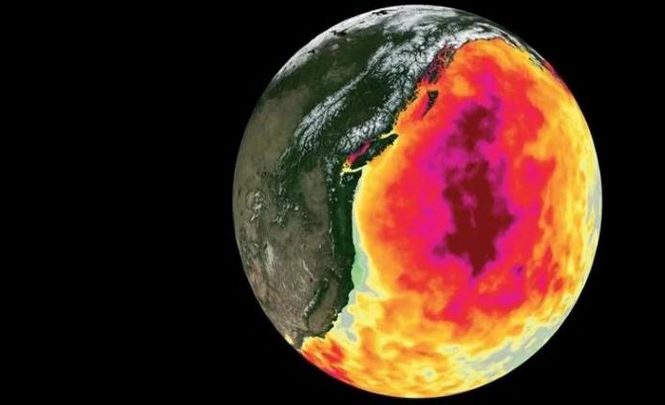 Аномальные горячие пузыри убивают жизнь в океане