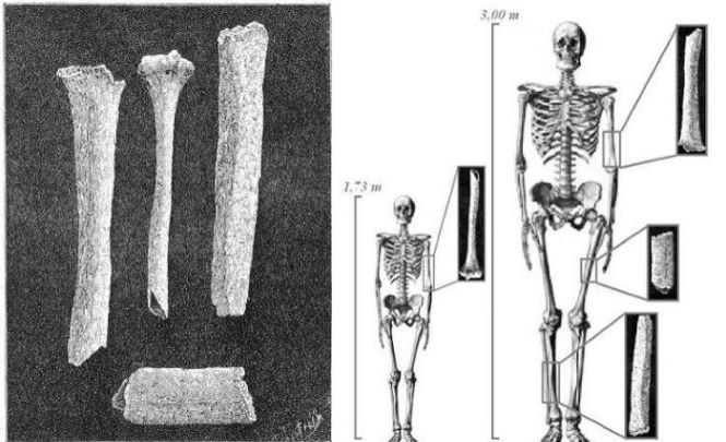 Загадка гигантских человеческих костей из Франции