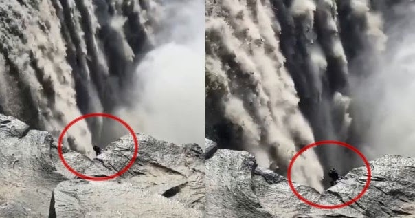 Странное существо сняли у водопада в Исландии
