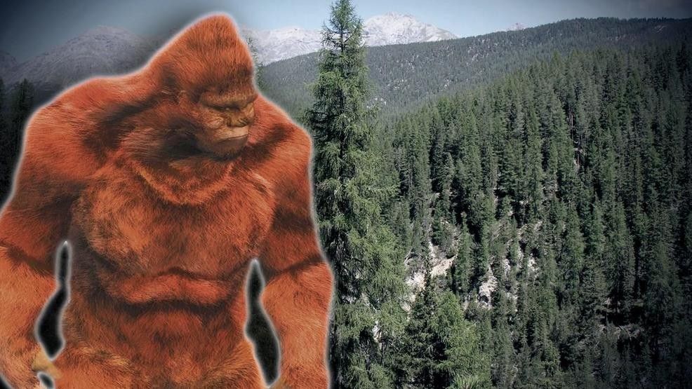 Огромное существо, похожее на снежного человека, попало на камеру наблюдения в лесу