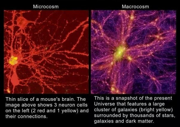Вселенная похожа на гигантский мозг