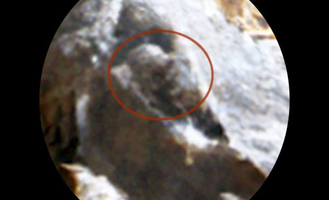 Предполагаемый череп инопланетянина обнаружен на поверхности планеты Марс