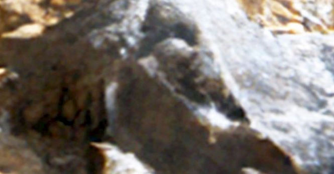 Гигантский НЛО на Луне и черепа на Марсе.