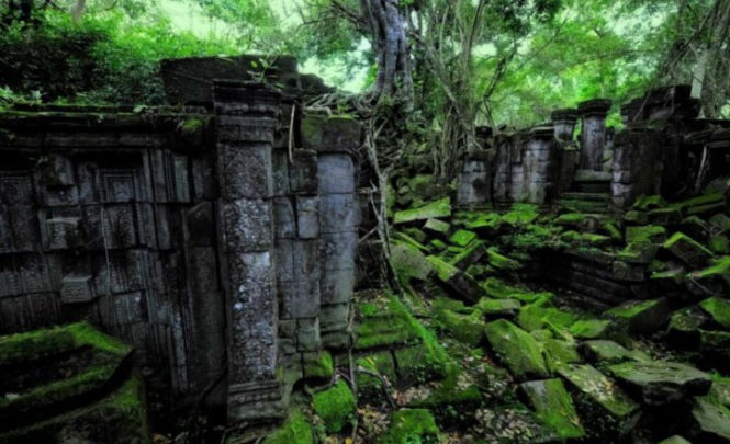 В джунглях Амазонки найдено множество древних артефактов