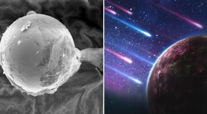 Была ли эта микроскопическая сфера послана инопланетянами для зарождения жизни на Земле?