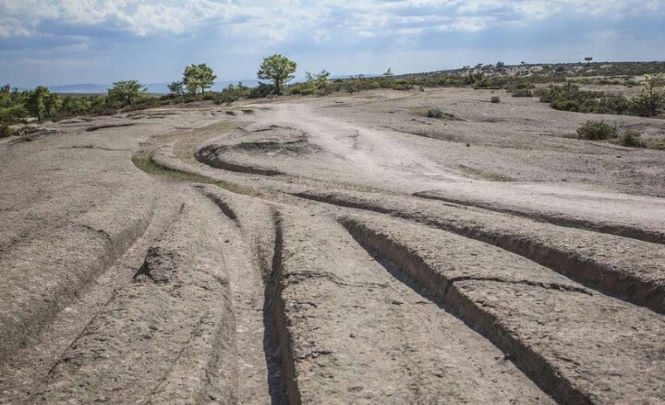 Кто оставил следы от колес в Турции 14 миллионов лет назад