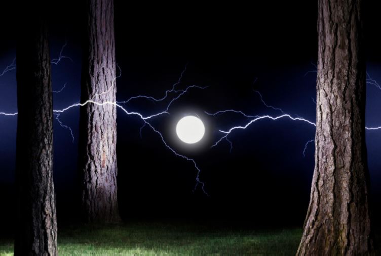 Шаровая молния: электромагнитная форма жизни?