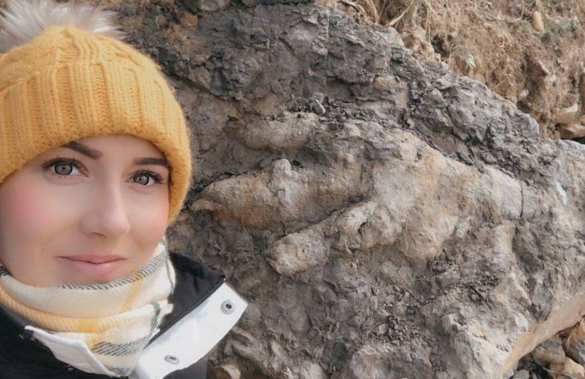 Женщина собрала моллюсков и нашла след древнего динозавра