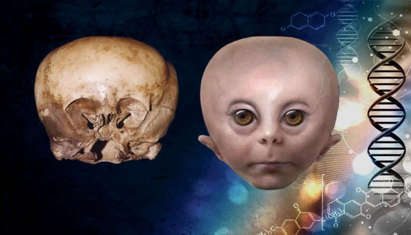История черепа Звёздного ребёнка: кто говорит правду?