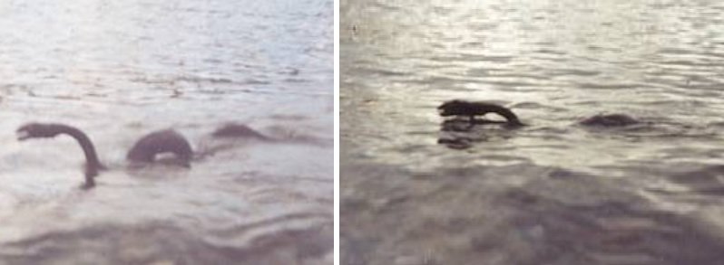 Криптозоолог Скотт Корралес из Inexplicata делится, что последние фотографии знаменитого озерного монстра в Аргентине появились 15 апреля 2006 года.