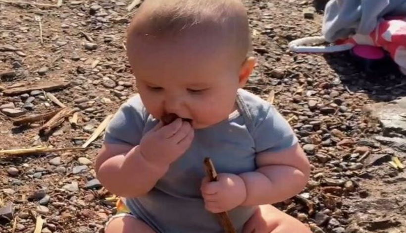 8-месячный ребенок-веган ест грязь, песок и камни