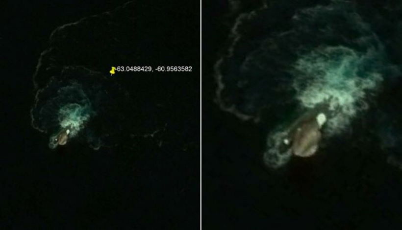 На картах Google обнаружено огромное загадочное морское существо