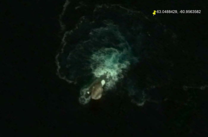 На картах Google обнаружено огромное загадочное морское существо