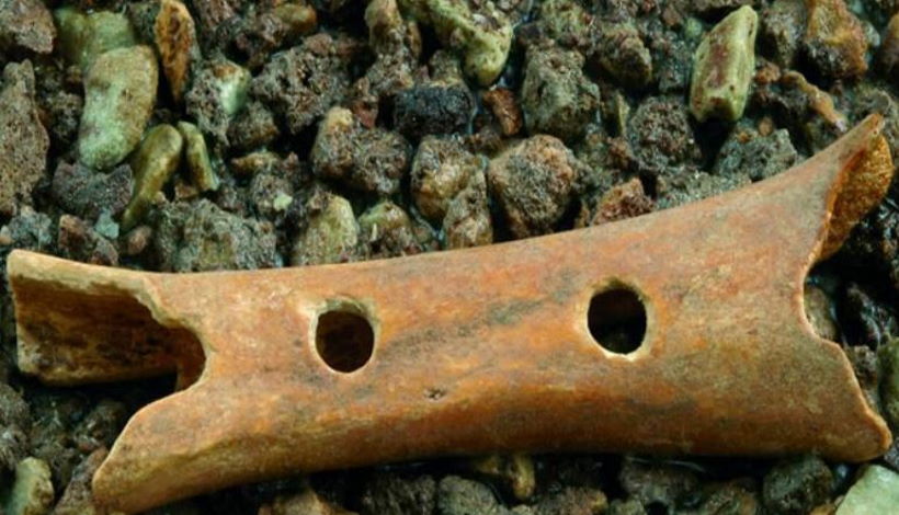 Костяная флейта возрастом 43000 лет показывает, что ранние люди были намного более способными