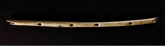 Костяная флейта возрастом 43000 лет показывает, что ранние люди были намного более способными