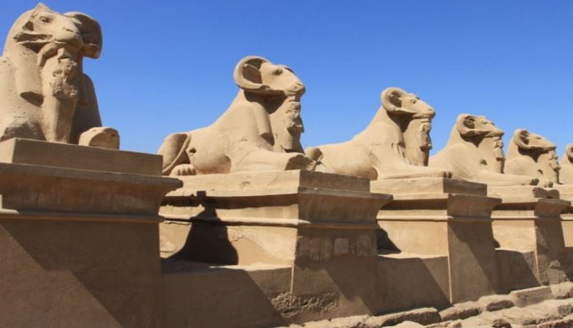 Сфинксы с головой барана, обнаруженные археологами в Луксоре