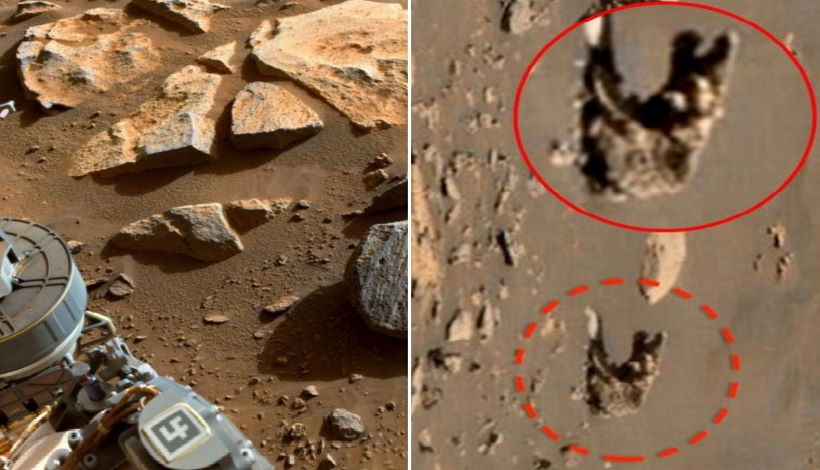 Кости, шары, люди и многое другое – что это за аномальные объекты, обнаруженные на Марсе?