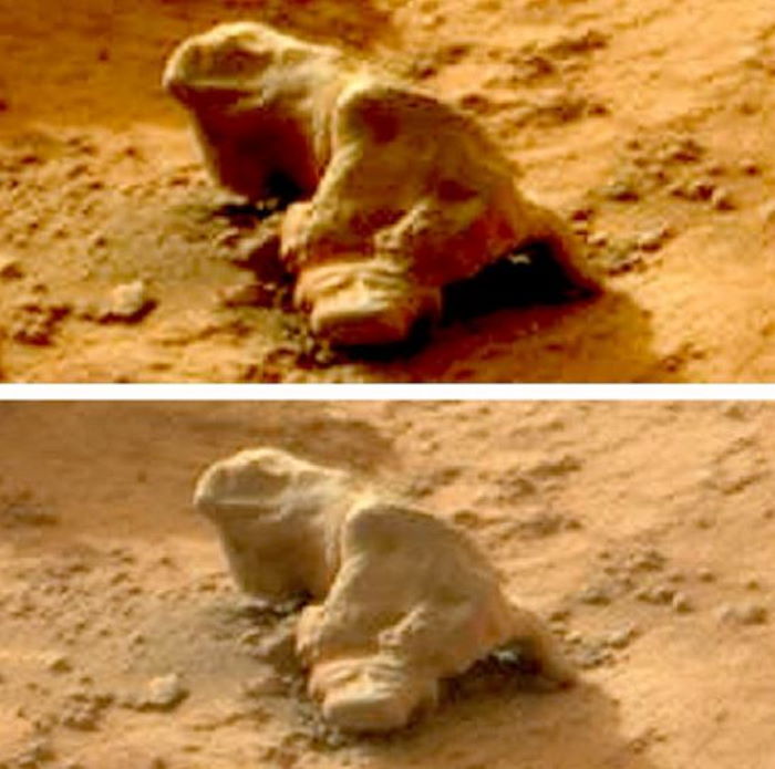 Кости, шары, люди и многое другое - что это за аномальные объекты, обнаруженные на Марсе?