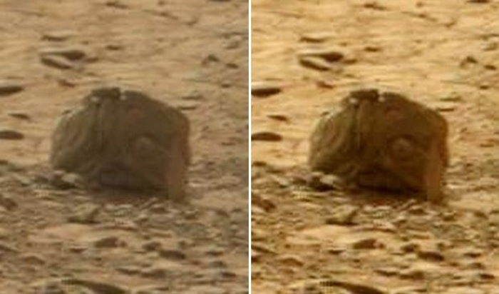 На Марсе найдена странная каменная голова с глазом и зубастым ртом