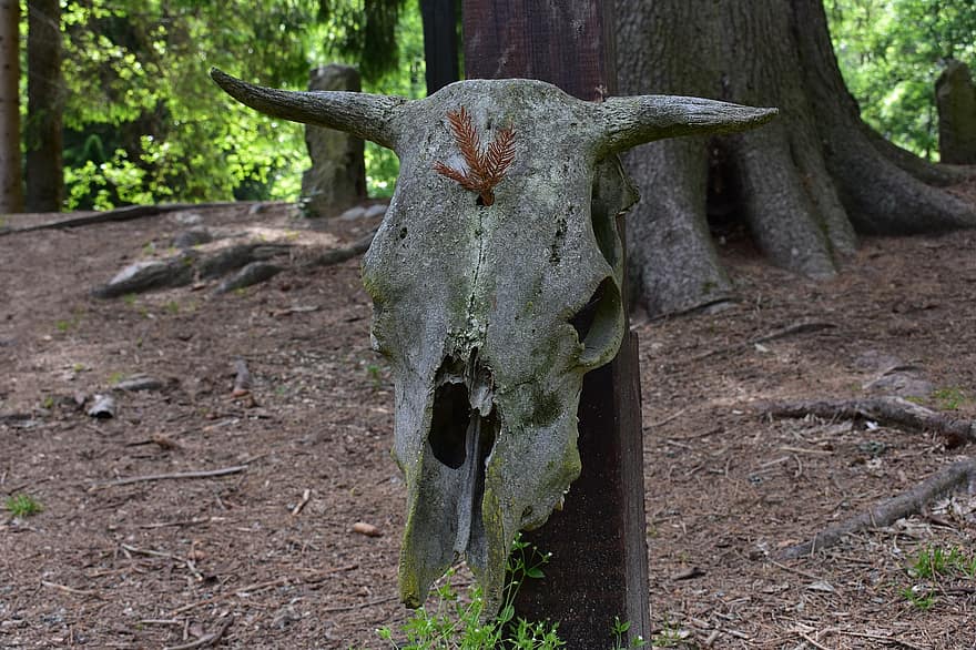 Мужчина нашел в лесу что-то, что съедало коров и строило фигурки из веток.