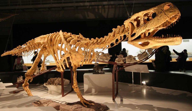 У абелизавров были очень уменьшенные передние конечности, даже короче, чем у тираннозавра рекса. Изображение © Kabacchi, лицензированное под CC BY 2.0 через Flickr.