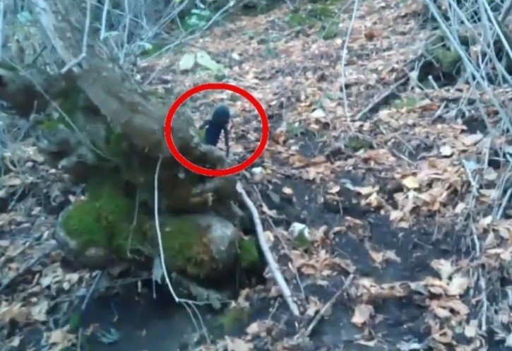 Загадочное гномоподобное существо попало на камеру в русском лесу