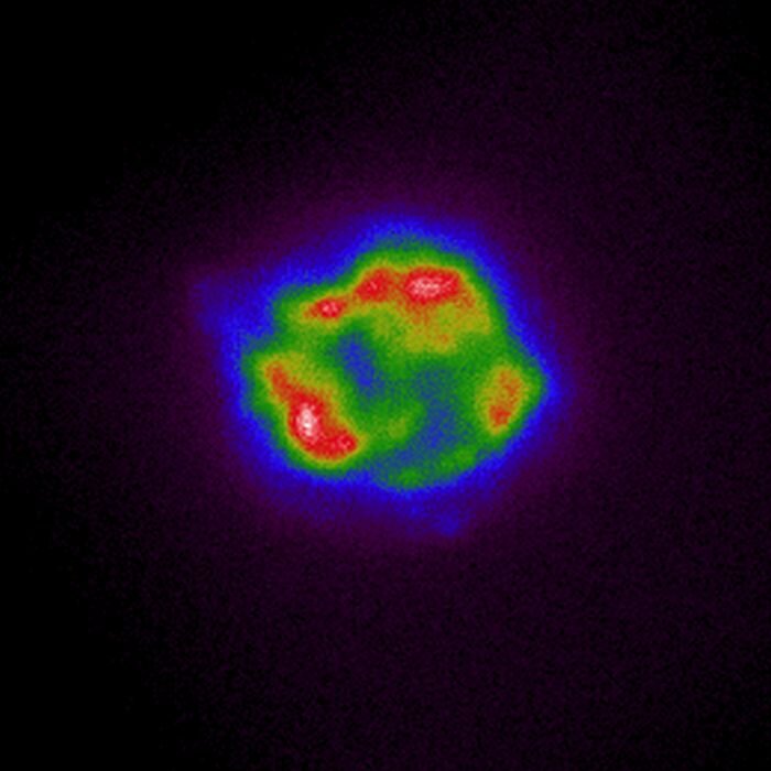 Распределение интенсивности рентгеновского излучения Кассиопеи А по данным телескопа IXPE. Фото: НАСА