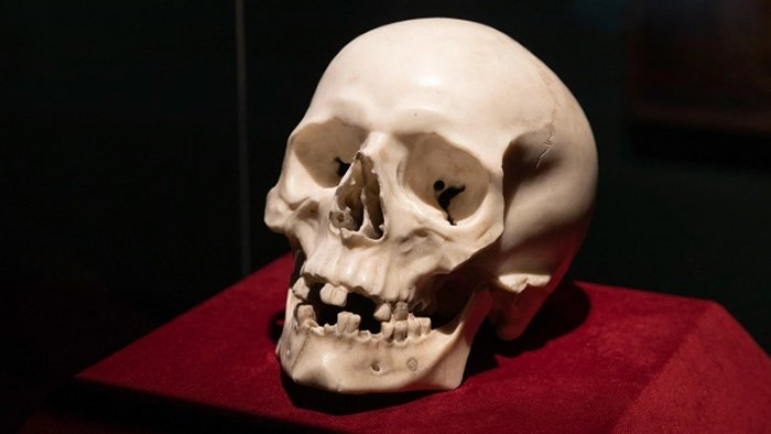 Мраморный череп периода барокко, проанализированный с помощью стандартных судебно-антропологических методов