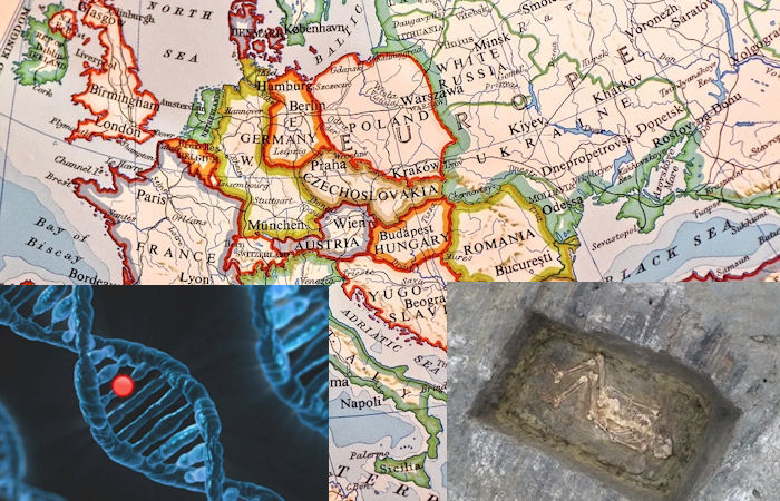 5000-летняя ДНК может разгадать тайну генетических изменений в Европе