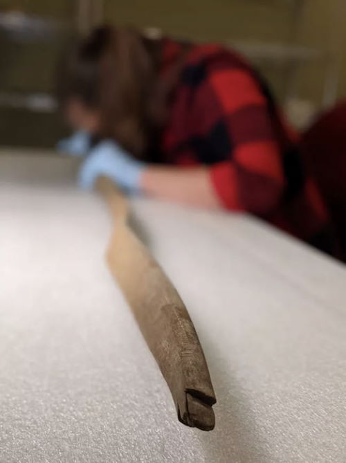 Неповрежденный 460-летний лук, найденный под водой на Аляске, сбивает с толку ученых - откуда он взялся?