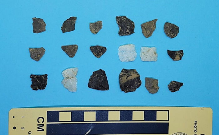 Небольшой образец множества артефактов, обнаруженных на участке в Коннектикуте. 