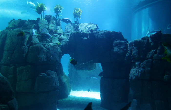 Был ли обнаружен подводный город возрастом 12 000 лет у побережья Луизианы? 