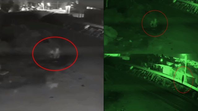 Камера видеонаблюдения зафиксировала, как с неба спускались 2 объекта, наблюдайте за испуганными собаками