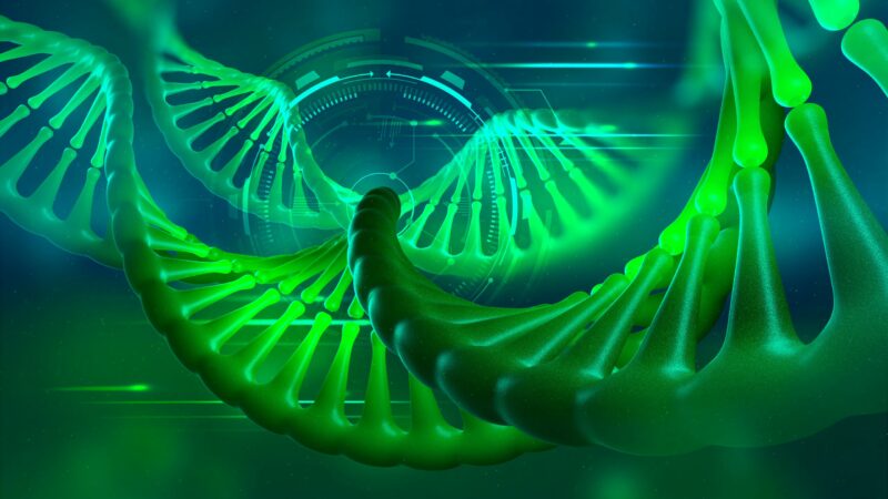Ученые раскрыли самый полный геном человека всех времен