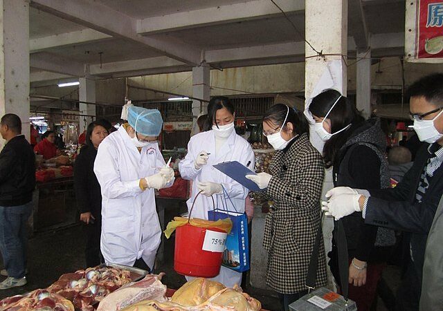 Китай сообщает о случае птичьего гриппа H5N6 среди людей в провинции Сычуань, поскольку смертельная вспышка серьезно поражает США, Великобританию и Европу в видео