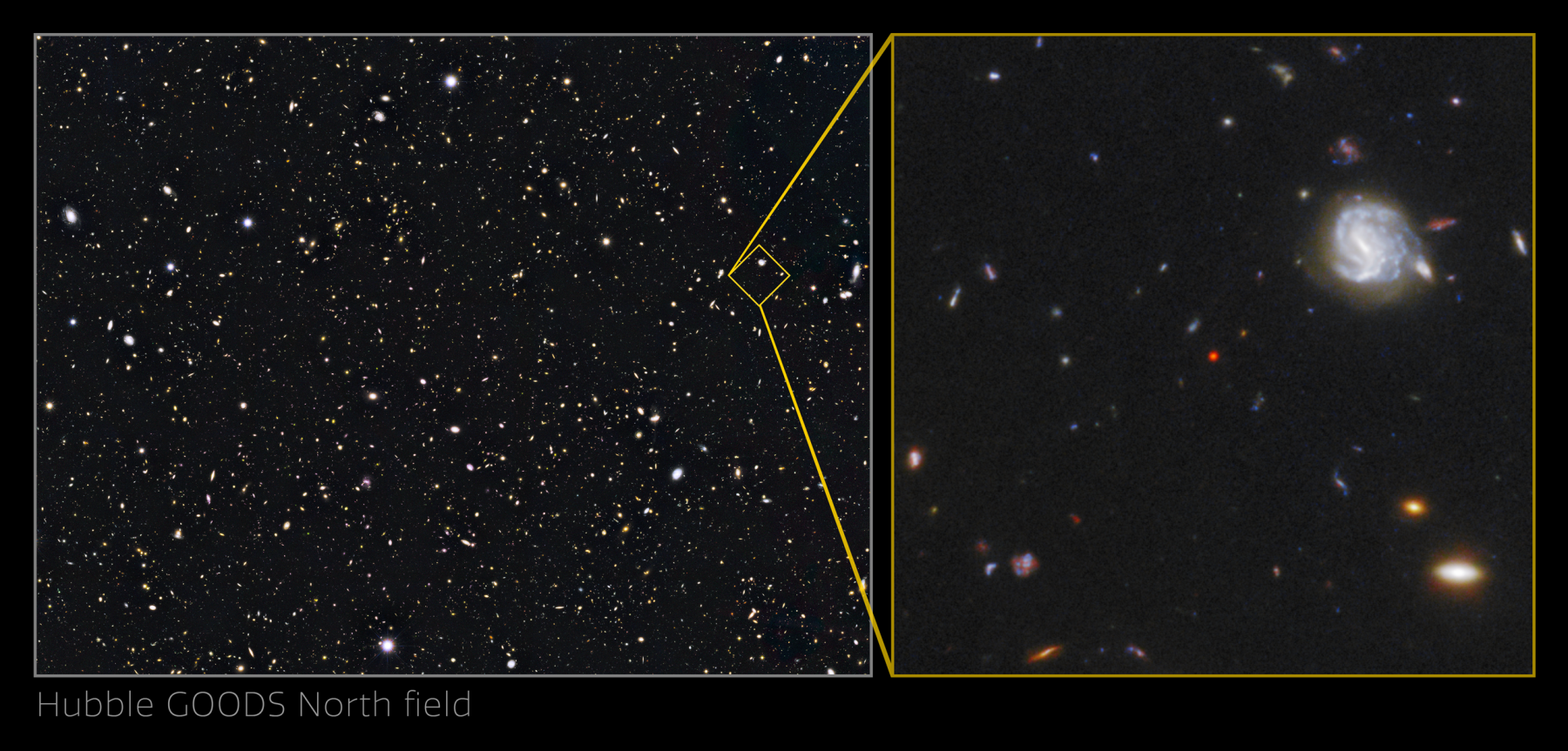 Объект GNz7q на изображении Хаббла. Предоставлено: НАСА, ЕКА.