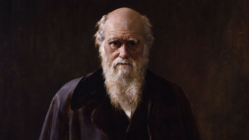 Жизнь, уроки и мысли Дарвина, изложенные в 10 ключевых фактах