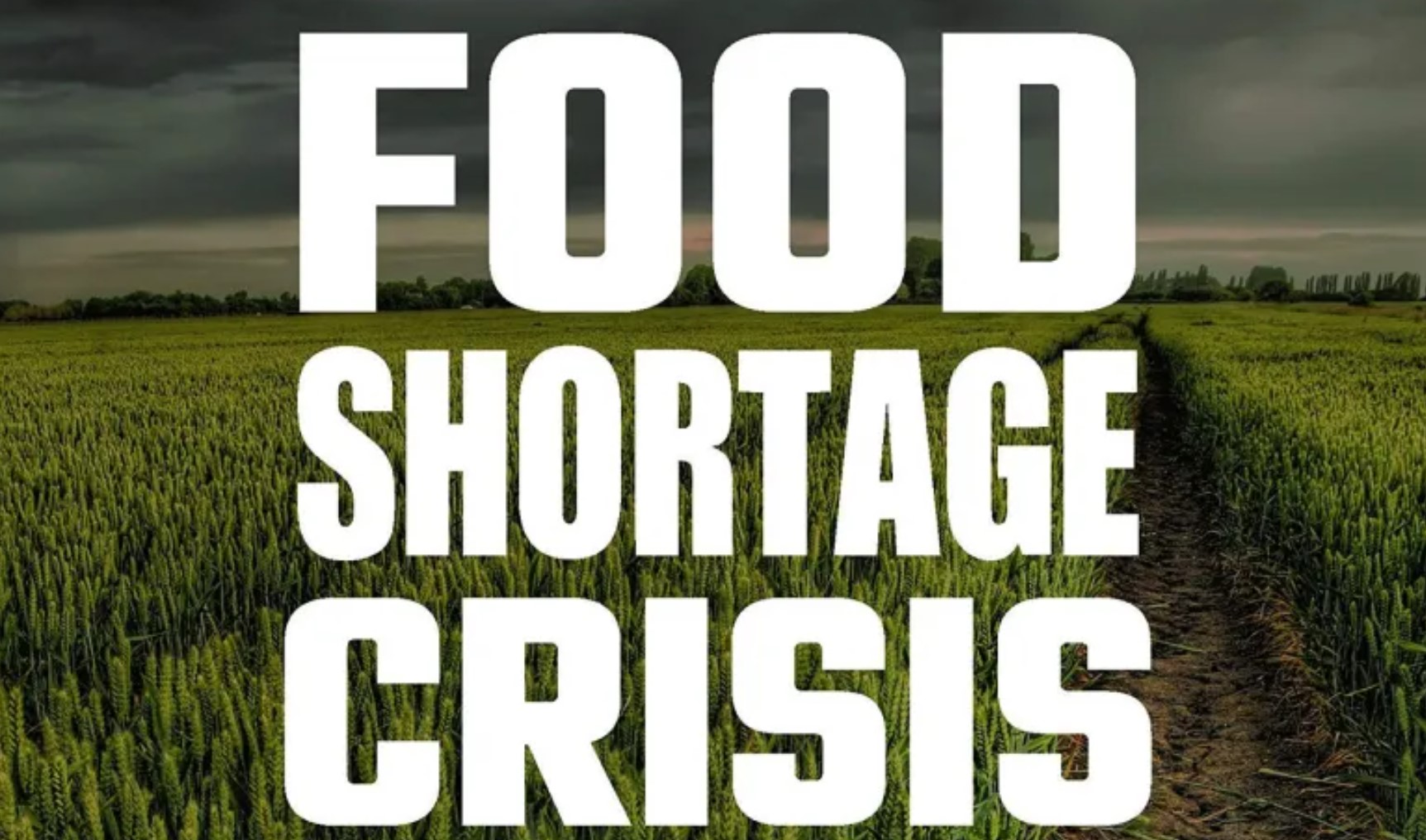 Правительство беспомощно!  Банк Англии предупреждает об «апокалиптической» глобальной нехватке продовольствия