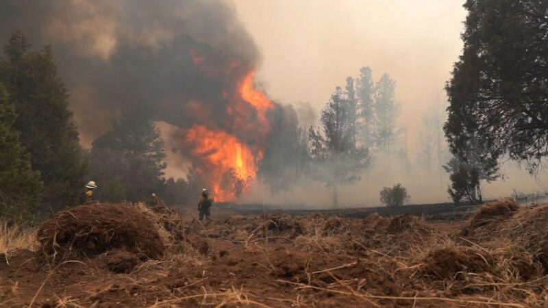Лесной пожар в Нью-Мексико сжег четверть штата Делавэр и стал крупнейшим в истории штата (видео)
