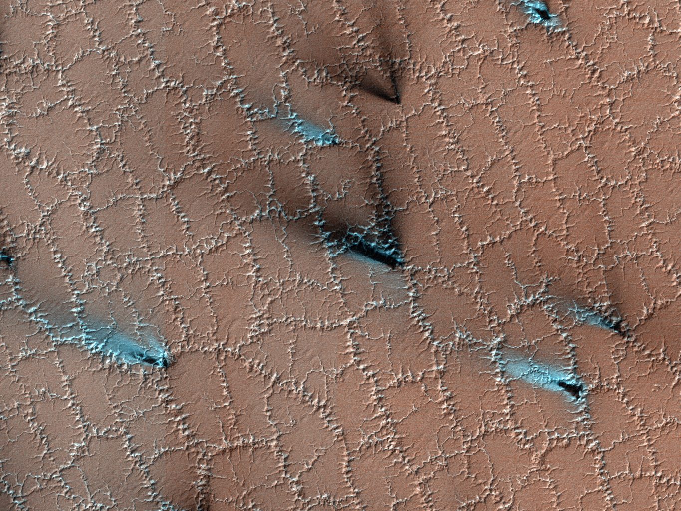 Странные сотовые узоры на Марсе обнаружены на новых фотографиях HiRISE
