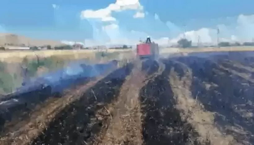 В Турции кто-то методично сжигает хлебные поля.