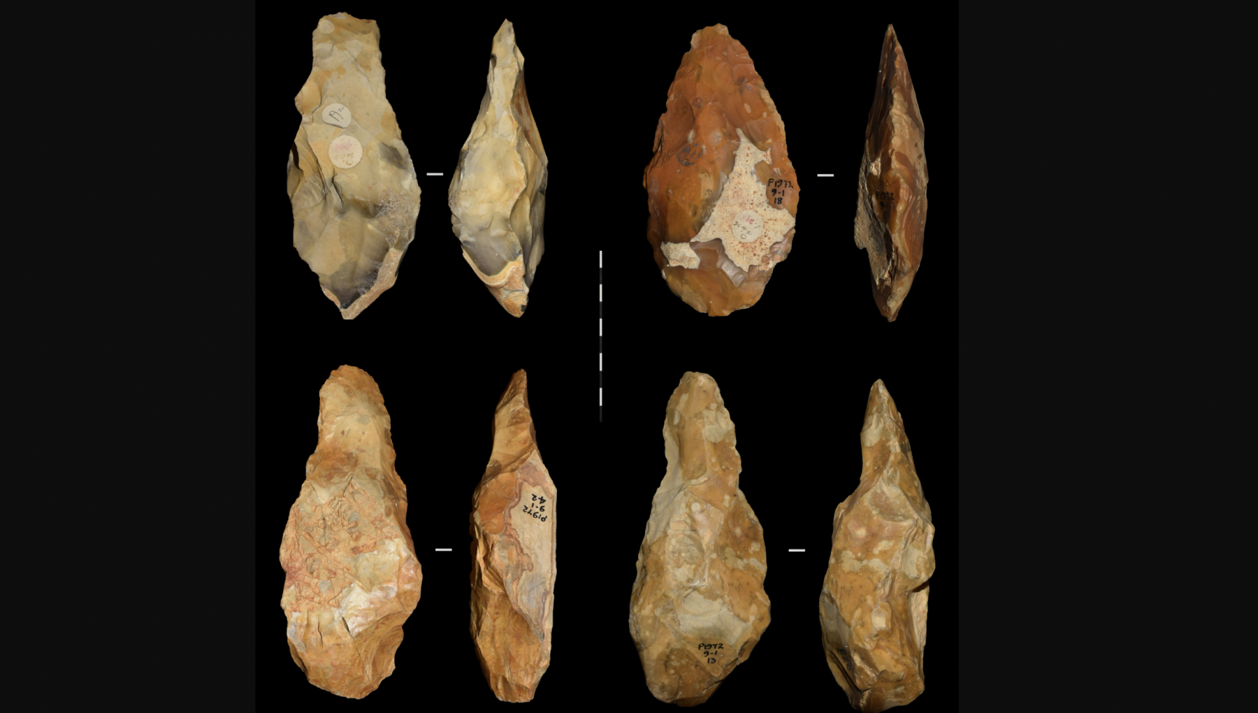 Люди впервые заселили Южную Британию 600 000 лет назад