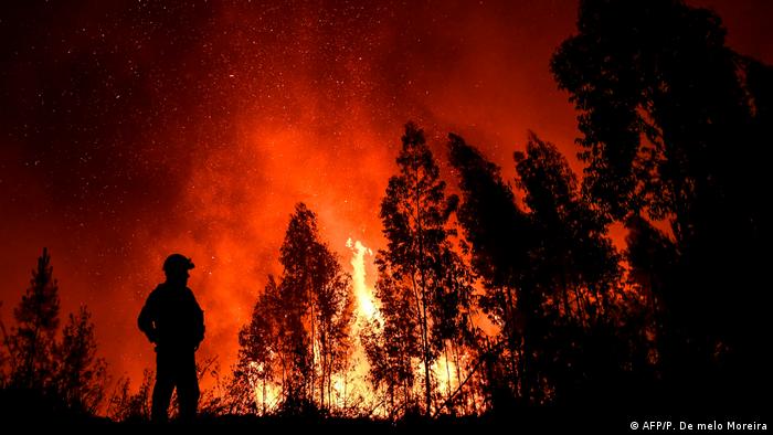 В Испании, Франции и Португалии бушуют опасные лесные пожары, а по всей Европе бушует жара.