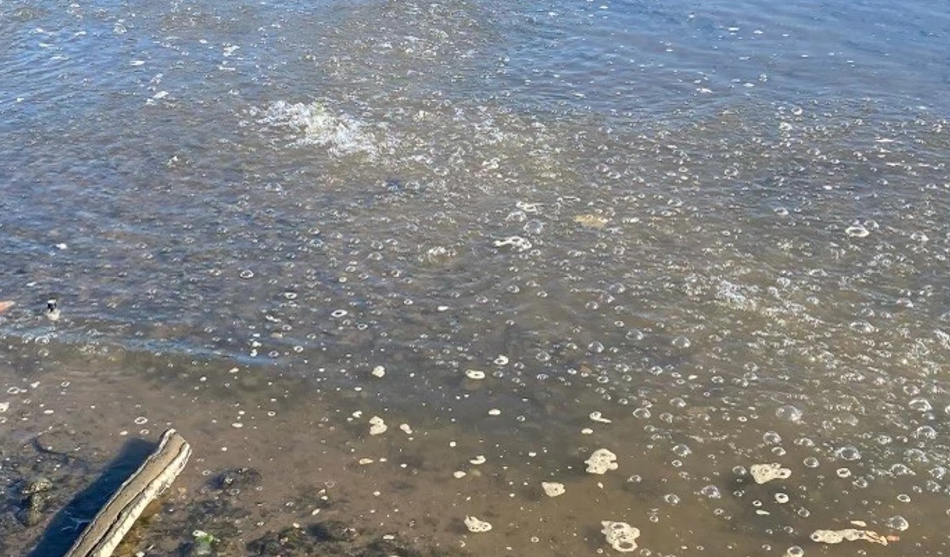 Что назревает в Гудзоне?  Таинственное бурление в реке сбивает с толку ученых