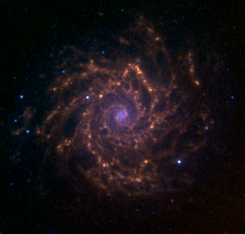 На этом изображении показана M74, наблюдаемая космическим телескопом Спитцер в рамках обзора ближней галактики Спитцер в инфракрасном диапазоне. 3,6-микрометровое излучение звезд представлено синим цветом. Зеленый и красный представляют полициклические ароматические углеводороды и выбросы пыли размером 5,8 и 8,0 микрометров соответственно. Кредит изображения: НАСА.