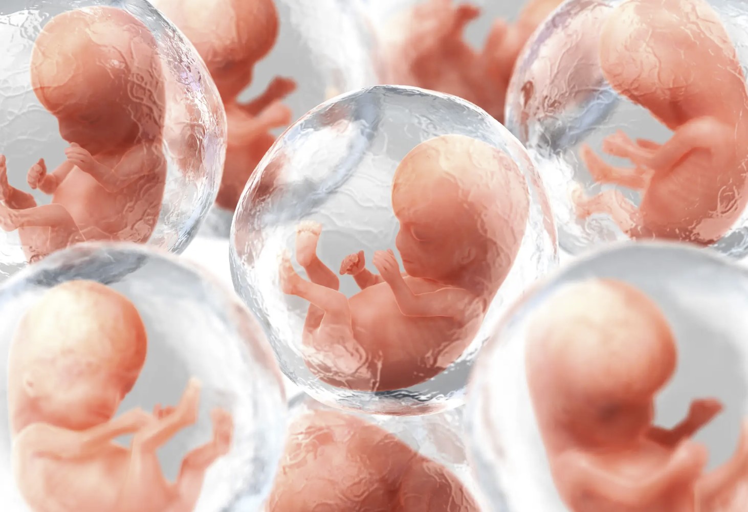 Биотехнологическая компания возьмет человеческую ДНК и создаст искусственные эмбрионы, используемые для забора органов для медицинских трансплантаций