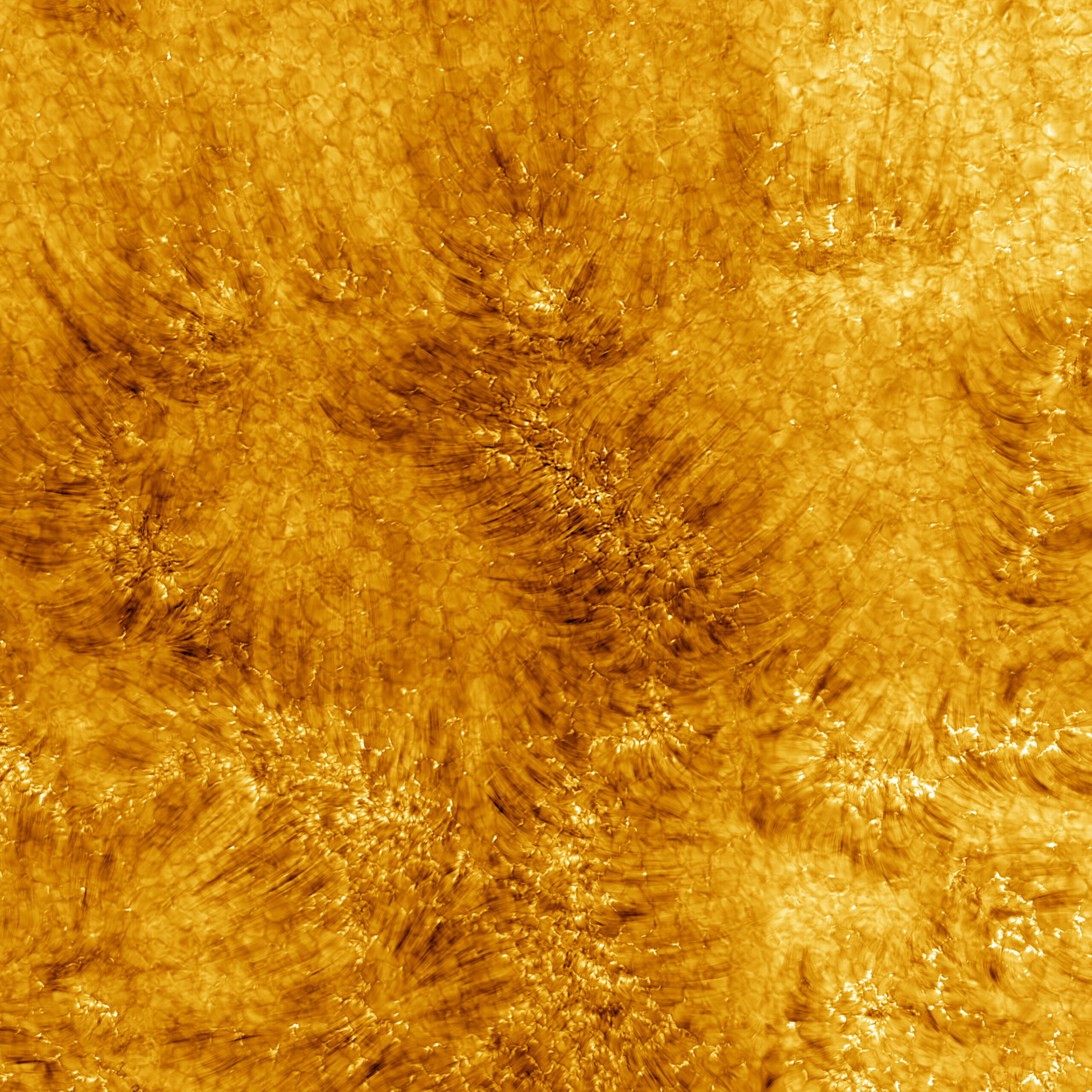 Солнечный телескоп Даниэля К. Иноуе сделал первые изображения хромосферы, области атмосферы Солнца над поверхностью, 3 июня 2022 года. Он показывает область с разрешением 18 километров и размером 82 500 километров в поперечнике. Используя линию водорода-бета из серии Balmer, это изображение было получено при 486,13 нм. Кредит: NSO/AURA/NSF.